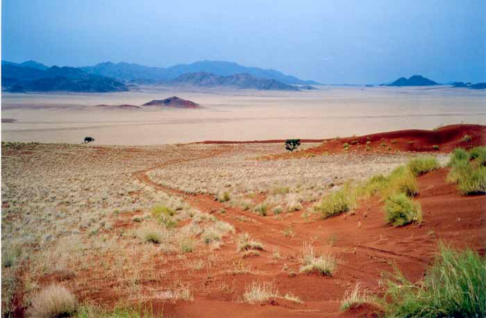 49_namib_rand_reserve.jpg