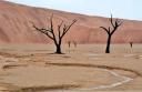 42_dead_vlei.jpg
