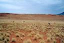 44_namib_rand_reserve.jpg