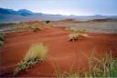 48_namib_rand_reserve.jpg
