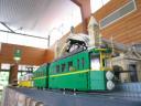 023_green_tram.jpg