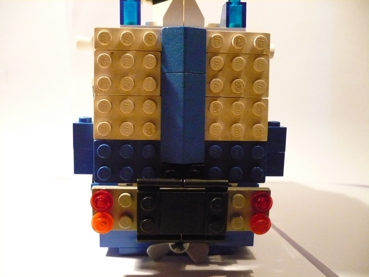 back.jpg