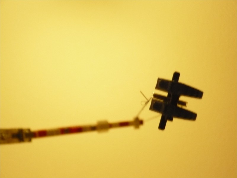 cc00020.jpg