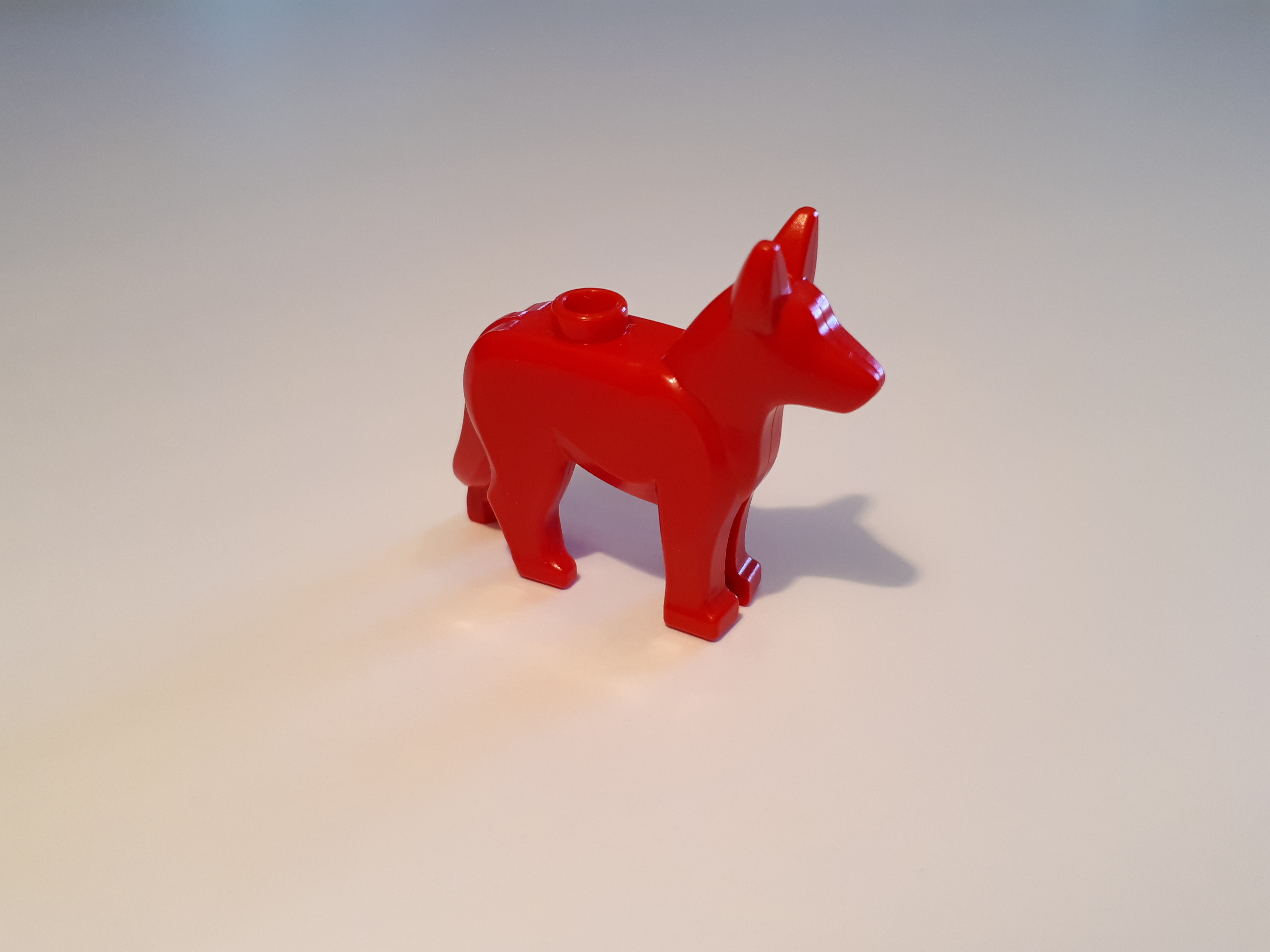 20180503_162246.jpg