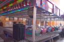 a_crashcarbumpercars_024.jpg