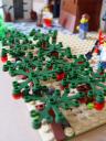 dsc03924.jpg
