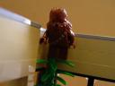 dsc03713.jpg