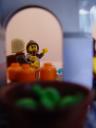 dsc04017.jpg