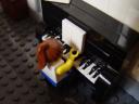 dsc05434.jpg