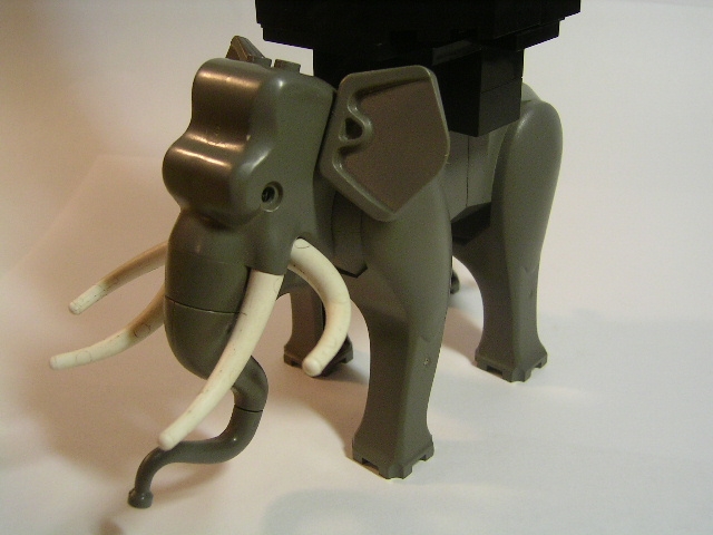 elephantbannerpic6.jpg