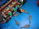 dsc02123.jpg