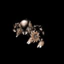 spore_gif_2008-07-06_16-12-37.gif
