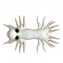 nearcreature.png