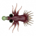 parasitifish.png