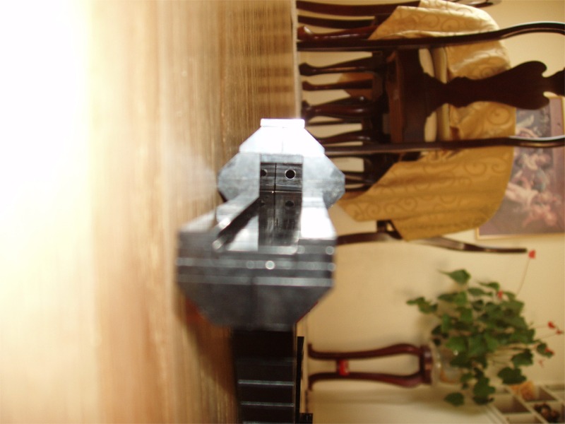 steyraugv3b-14.jpg