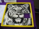puzzle1_tiger.jpg