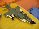 harrier.jpg