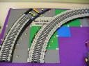flexi-tracks_m_bellis.jpg