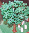 three_trunk_tree_hull_nov_2004.jpg