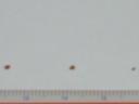 3_repeatability_is_less_than_1mm.jpg