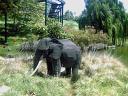 jam053.jpg
