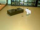 sx1_tile1x2.jpg
