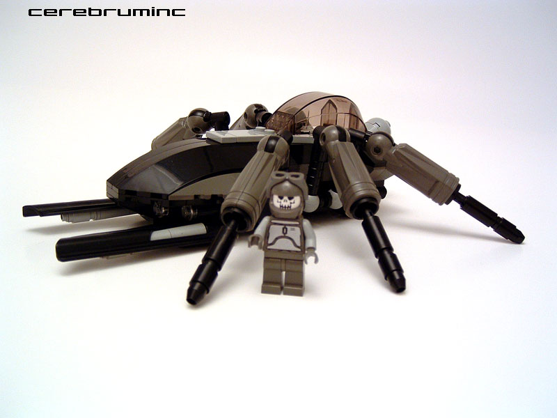 beetle04.jpg