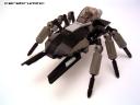 beetle01.jpg