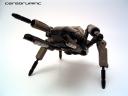 beetle02.jpg