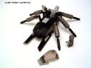 beetle03.jpg