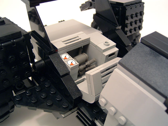coyote3.jpg