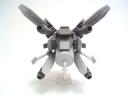 hornet3.jpg