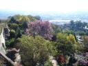 dsc01148.jpg