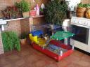 dsc01171.jpg
