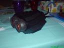 dsc00124.jpg