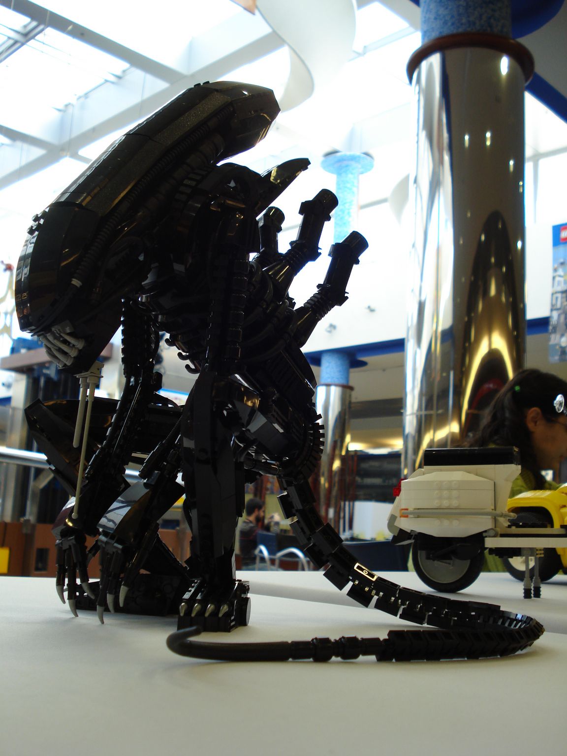 dsc01614020.jpg