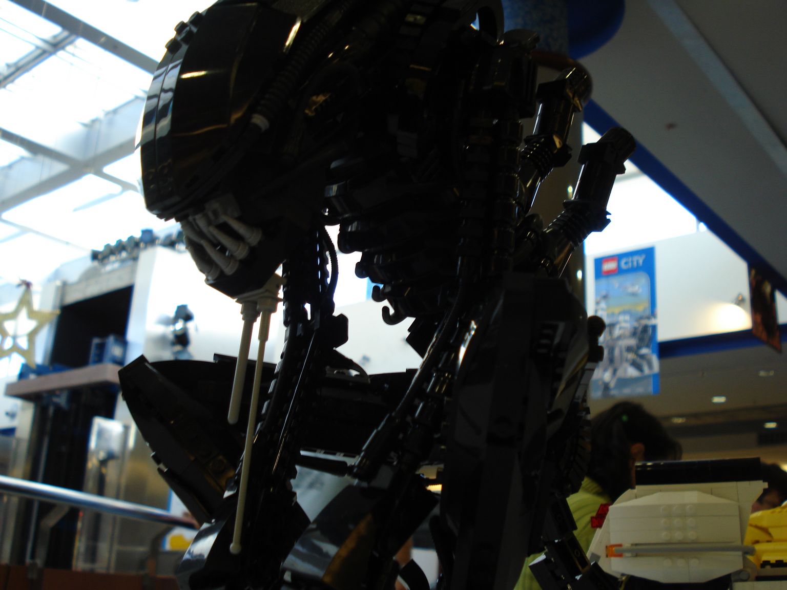 dsc01614021.jpg