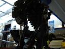 dsc01614021.jpg