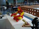 dsc01614031.jpg