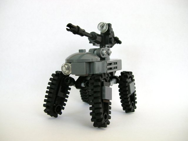 fawn_001.jpg