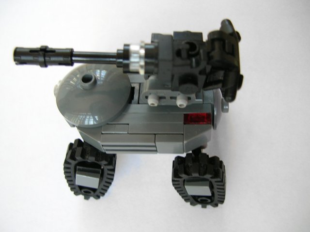 fawn_002.jpg