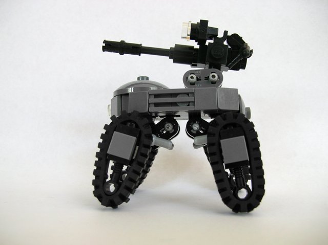 fawn_004.jpg
