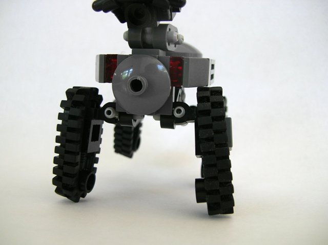 fawn_006.jpg