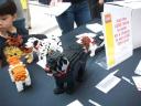 100_6027.jpg