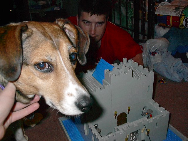 katiescastle.jpg