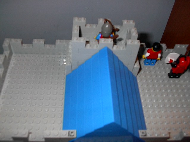 ldroof3.jpg