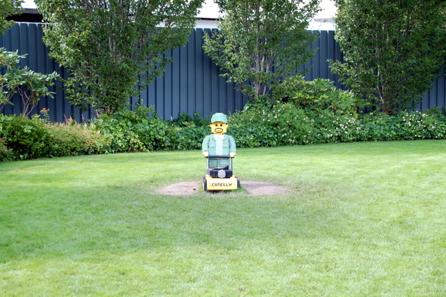 dsc_3666.jpg