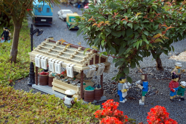 dsc_3784.jpg