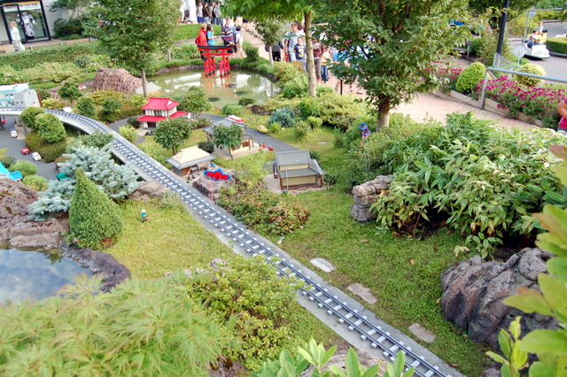 dsc_3798.jpg