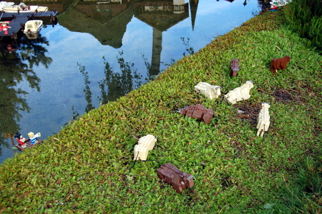 dsc_3876.jpg